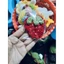 Kẹp Tóc Trái Bơ Xinh Xắn