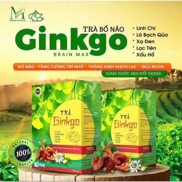 Trà Bổ Não Ginkgo-Hoạt Huyết,Ngủ ngon,Giảm Stress,Đau Đầu,Chóng Mặt,Trà Bổ Não,Trà Ginkgo
