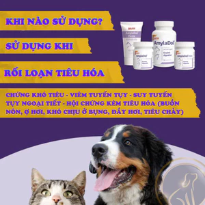 DOLFOS AMYLADOL - DOLFOS AmylaDol – Hỗ Trợ Tiêu Hóa Cho Chó Mèo Viêm Tụy, Ăn Không Tiêu, Phân Sống