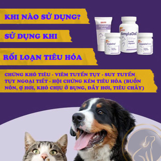 DOLFOS AMYLADOL - DOLFOS AmylaDol – Hỗ Trợ Tiêu Hóa Cho Chó Mèo Viêm Tụy, Ăn Không Tiêu, Phân Sống
