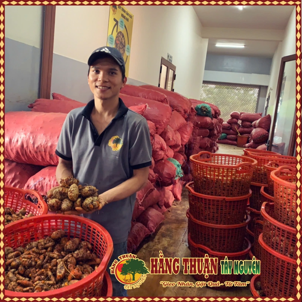 Bột Nghệ Nguyên Chất Hằng Thuận Tây Nguyên