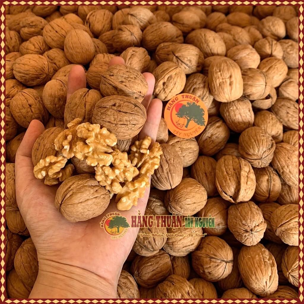 Dầu Óc Chó Nguyên Chất Cho Bé Ăn Dặm Hằng Thuận Tây Nguyên