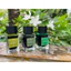 Mực Cánh Diều nhập Anh 15ml - 25ml - 50ml