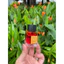Mực Cánh Diều nhập Anh 15ml - 25ml - 50ml