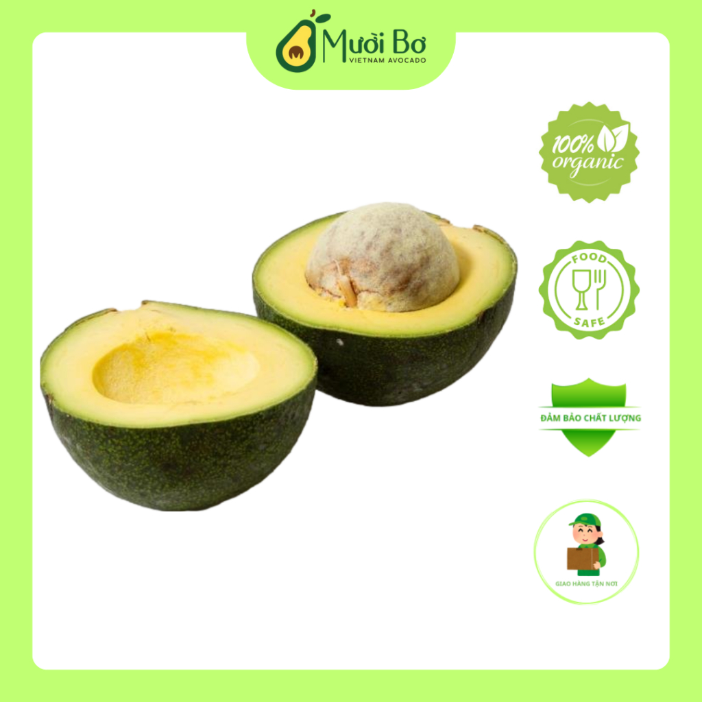 Bơ Reed Mười Bơ - Vua Bơ Tây Nguyên | Shopee Việt Nam