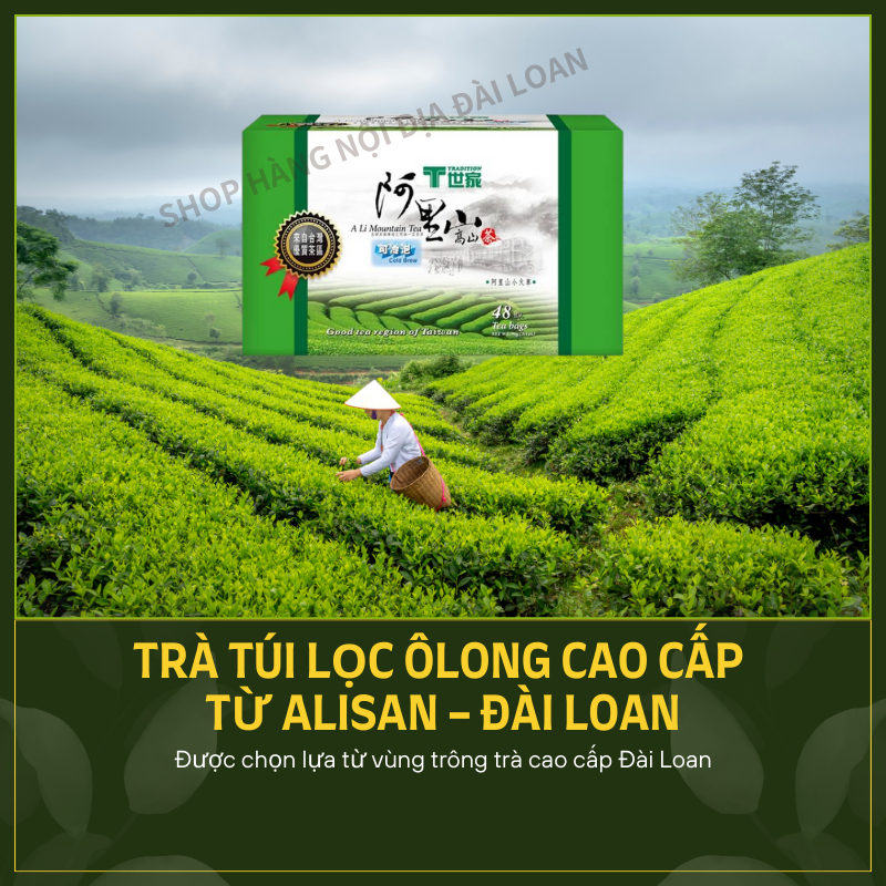 [T - TRADITION]Trà túi lọc ôlong, trà đen, trà xanh cao cấp từ ALISAN - ĐÀI LOAN 48 gói/ Hộp