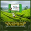 Trà túi lọc ôlong, trà đen, trà xanh cao cấp từ ALISAN - ĐÀI LOAN 48 gói/ Hộp