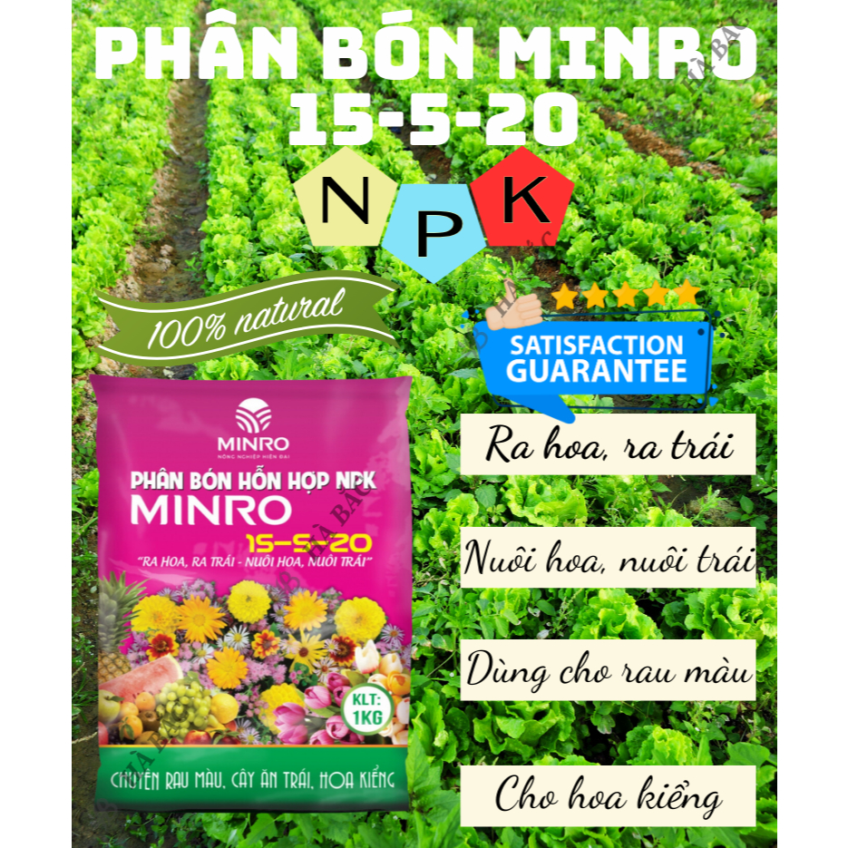 Phân Bón Hỗn Hợp 15-5-20 Minro (1KG) - Ra Hoa, Ra Trái, Nuôi Hoa, Nuôi Trái Khỏe Mạnh