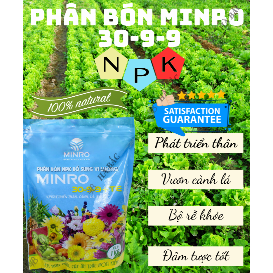 Phân Bón NPK 30-9-9+TE Minro (1KG) - Bổ Sung Vi Lượng, Phát Triển Thân, Cành, Rễ, Rau màu Hoa cây