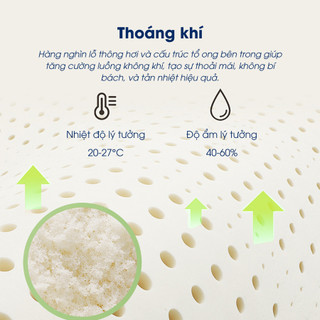 Đệm ngủ - Nệm cao su thiên nhiên NIN House 1m6x2m, 1m8x2m mattress êm ái, thông thoáng, Ice Silk mát, bảo hành 10 năm