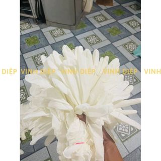 10 đôi găng tay y tế có bột, không bột dùng cho spa, y tế, thực phẩm, phun xăm
