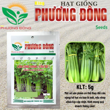 Hạt giống Cần Tây - Cần Cọng Xanh (5g) ép nước, dễ chăm sóc, sinh trưởng khỏe - Hạt giống King Phương Đông