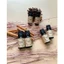 Tinh Dầu 10ML , 50ML Đa Dạng Mùi - Thơm Phòng , Thư Giãn , Đuổi Muỗi , Sả Chanh, Quế, Bạc Hà, Khuynh Diệp, Thông, Cam