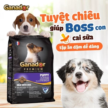 5GÓI x 400 gram Thức ăn cho chó con Ganador Milk with DHA - vị sữa & DHA - Thức ăn hạt cho chó