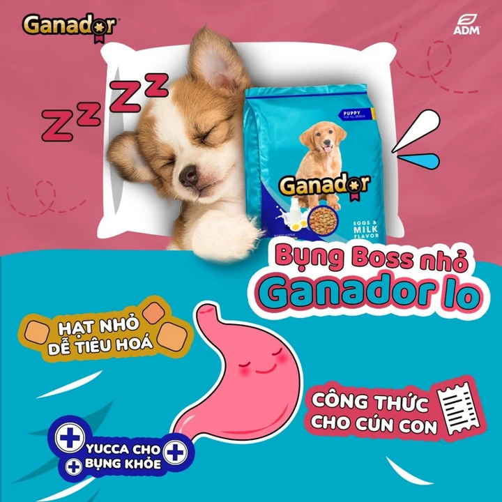 5gói x 400gram Thức ăn cho chó con Ganador Puppy Egg and Milk - Vị Trứng và Sữa -Thức ăn hạt cho chó