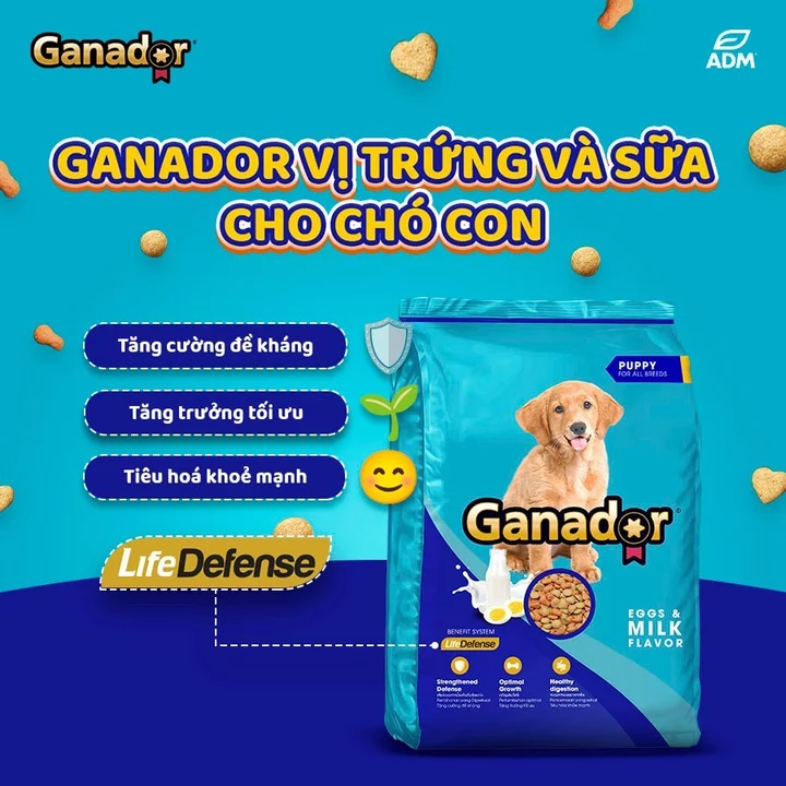 5gói x 400gram Thức ăn cho chó con Ganador Puppy Egg and Milk - Vị Trứng và Sữa -Thức ăn hạt cho chó – 3