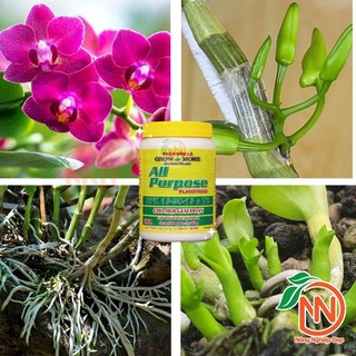 NPK15-30-15+TE Growmore 100g  - Siêu Kích Hoa