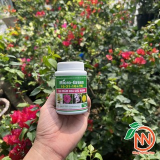 Phân Bón NPK 16-31-16 Micro Green 100g - Phân Bón Chuyên Kích Hoa