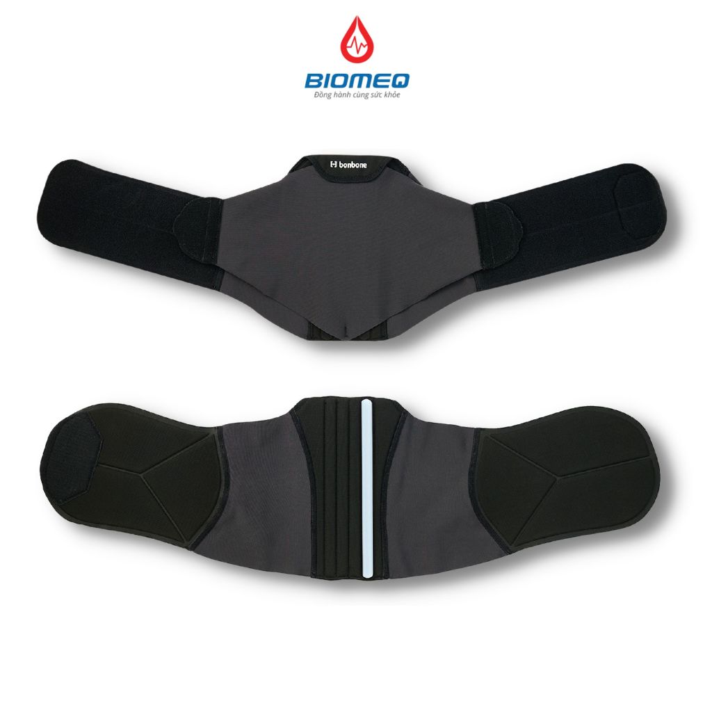 Đai lưng CHÍNH HÃNG Bonbone Pita Coru hỗ trợ đau lưng, cột sống, thoát vị đĩa đệm