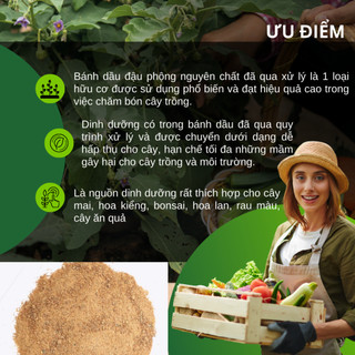 Bánh dầu đậu phộng Lavamix đã qua  xử lý dạng bột (túi 1kg), cung cấp hàm lượng hữu cơ cho cây trồng
