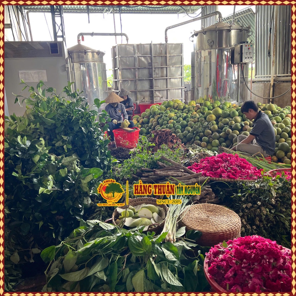 Lá Xông - Lá Tắm Thảo Dược Hằng Thuận Tây Nguyên