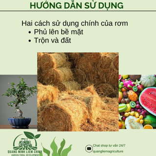 Giá Thể Rơm Khô Dùng Che Phủ Đất, Trồng Rau, Hoa Kiểng, Trang Trí (túi 1kg, 2kg, 5kg)