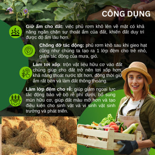 Giá Thể Rơm Khô Dùng Che Phủ Đất, Trồng Rau, Hoa Kiểng, Trang Trí (túi 1kg, 2kg, 5kg)