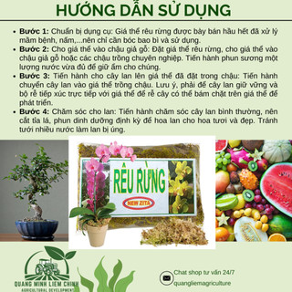 Rêu Rừng Trồng Lan Giữ Ẩm Tốt - Rêu Rừng Khô - Chuyên dùng cho lan, Giúp giữ nước, Kháng khuẩn