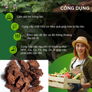 Giá Thể Trồng Lan - Vỏ Thông NewZita (4 SIZE) - Chuyên dùng cho hoa lan, Có thể kết hợp với Dớn cọng
