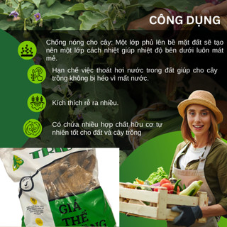 Giá Thể Trồng Lan - Vỏ Xơ Dừa Tribat (3dm3) - Giúp Chống Nóng, Giữ Ẩm và Giữ Dinh Dưỡng Tốt