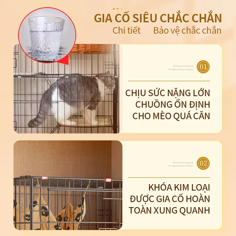 Không gian thoải mái cho nhiều bé mèo