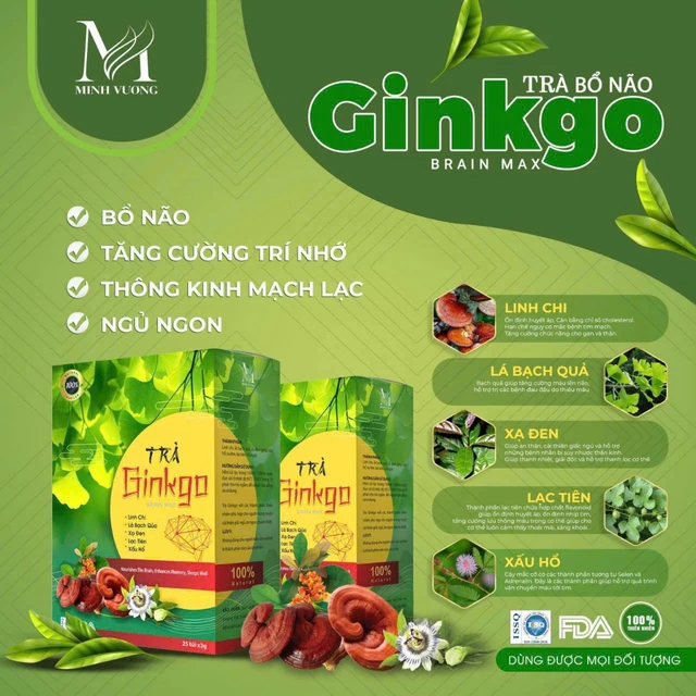 Trà Bổ Não Ginkgo-Hoạt Huyết,Ngủ ngon,Giảm Stress,Đau Đầu,Chóng Mặt,Trà Bổ Não,Trà Ginkgo Hộp 25 gói