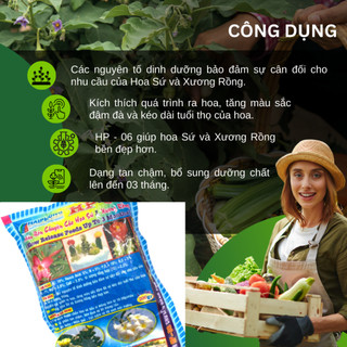 Phân bón cho hoa sứ, sen đá, xương rồng HP-06 gói 200gram Hải Phong, kích thích ra hoa và nở đều