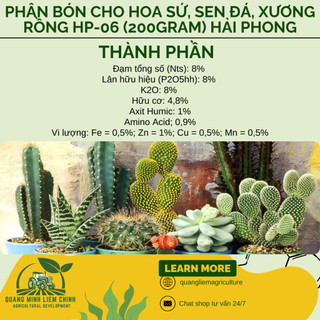 Phân bón cho hoa sứ, sen đá, xương rồng HP-06 gói 200gram Hải Phong, kích thích ra hoa và nở đều
