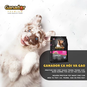 10KG Thức ăn cho chó Ganador adult salmon rice - vị cá hồi & gạo - Thức ăn hạt cho chó