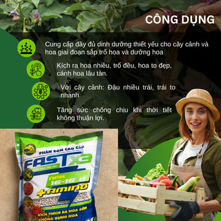 Phân Bón Fast NPK 16-16-8 + Amino, Kích Thích Ra Hoa Sớm - Gói 1KG