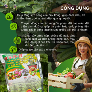 Phân Bón NPK 17-17-17 giúp thúc nút kim, tạo mầm hoa, tăng độ ngọt, màu đẹp, bung chồi nhú đọt (1KG)