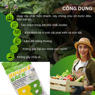 Phân Hữu Cơ viên nén đậm đặc Bounce Back- BB Úc (bao 20KG), dùng cho cây kiểng, hoa lan, bonsai