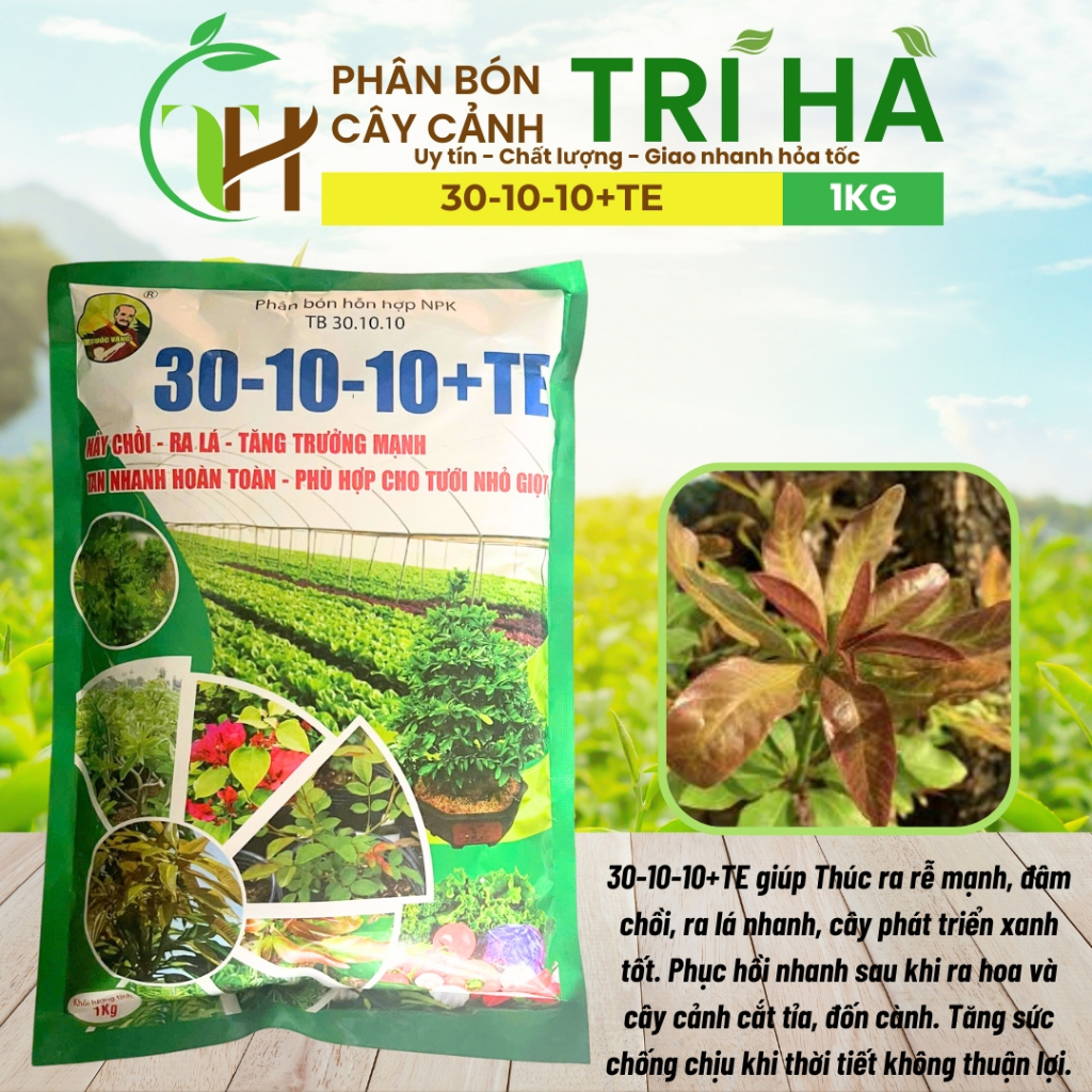 PHÂN BÓN NPK 30-10-10 +TE ( 1 Màu ) 1KG -giúp cây ra lá chồi xanh đọt ...