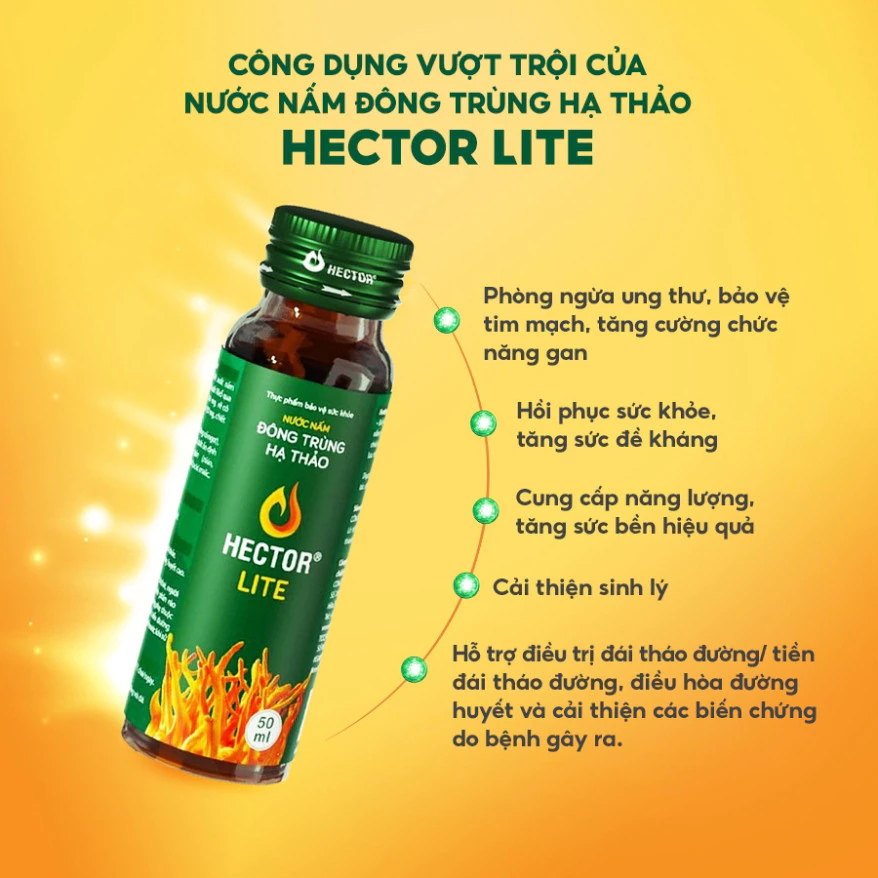 Ảnh Nước Nấm Đông Trùng Hạ Thảo Hector Lite (50ml x 10 chai) 2