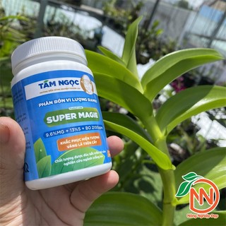 Super Magie Tám Ngọc Hũ 100g | Phân Bón Hoa Lan Ngừa Bệnh Vàng Lá Gân Xanh