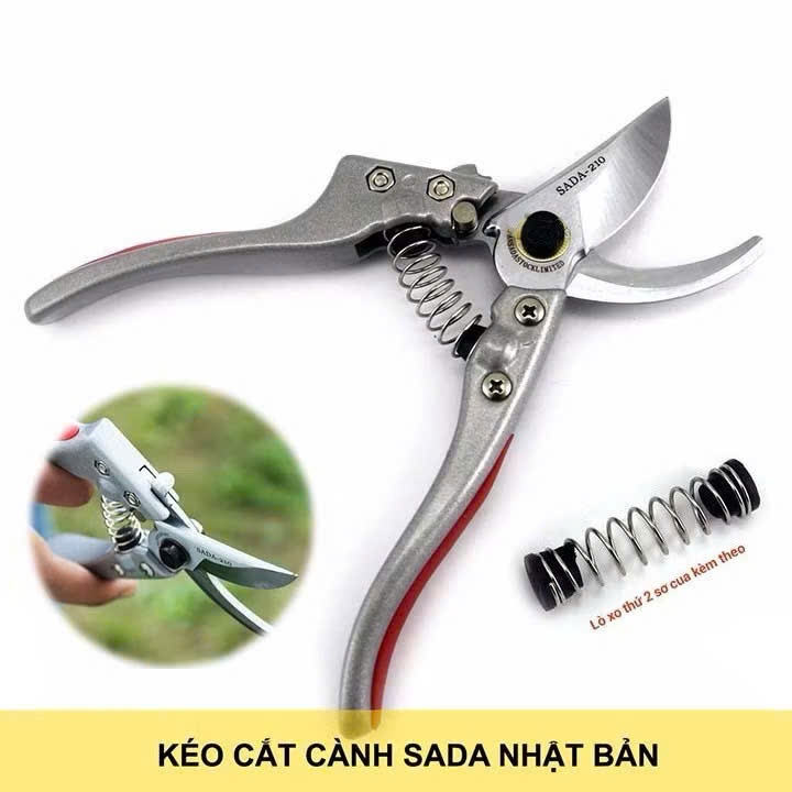 Kéo cắt cành SADA chính hãng Nhật Bản SK5 , KÌM CẮT CÀNH CÂY, CÀNH HOA - MÃ: KIMCATCANH3