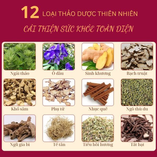 2 Thảo dược ngâm chân giảm đau nhức cơ xương khớp, làm ấm bàn chân, giúp ngủ ngon, giảm mỡ, nâng cao sức khỏe túi 30 gói