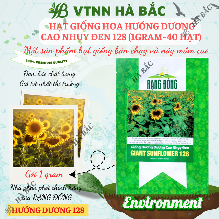Hạt giống Hoa Hướng Dương Cao Nhụy Đen 128 (1gram~40 hạt) thân cao, trồng chậu hoặc cắt cành