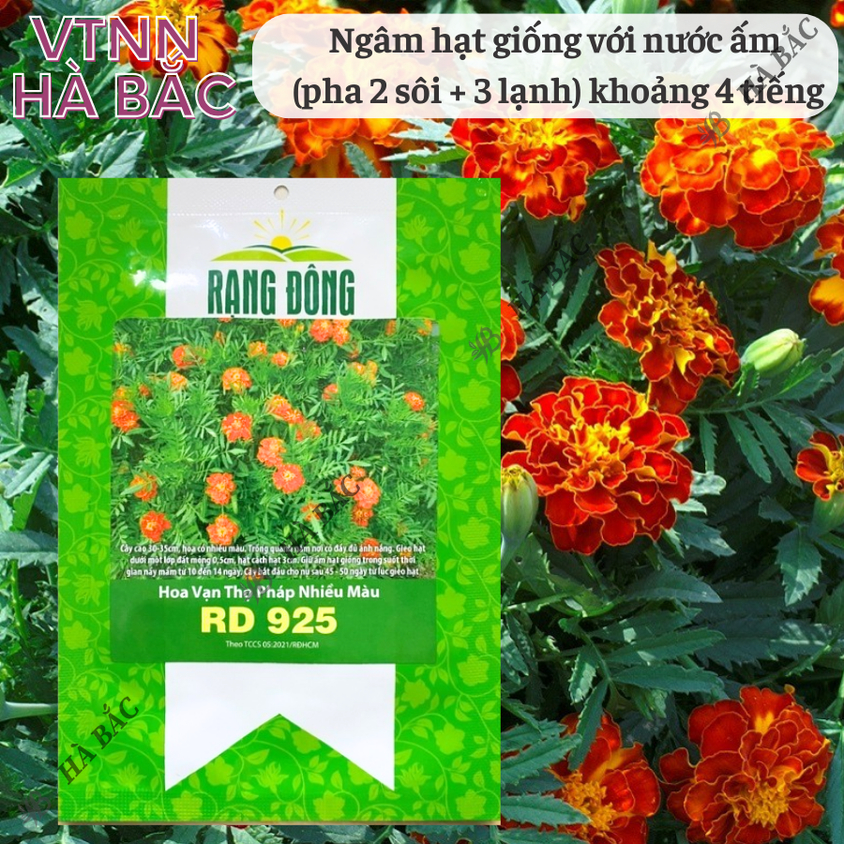 Hạt giống Hoa Vạn Thọ Pháp Nhiều Màu Rado 925 (0,1gram~80 hạt) trồng chậu dịp Tết