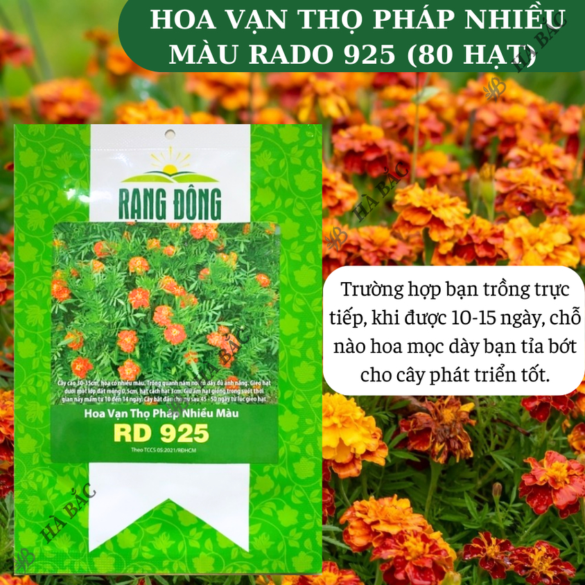 Hạt giống Hoa Vạn Thọ Pháp Nhiều Màu Rado 925 (0,1gram~80 hạt) trồng chậu dịp Tết