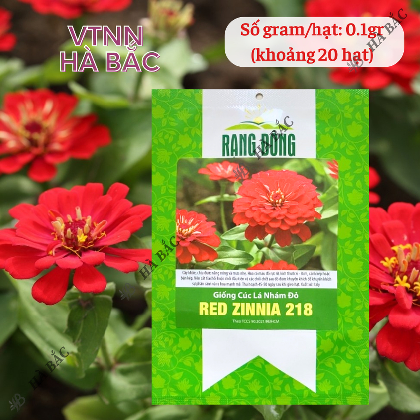 Hạt giống Hoa Cúc Lá Nhám Đỏ Red Zinnia 218 (0,1gram~20 hạt) trồng quanh năm