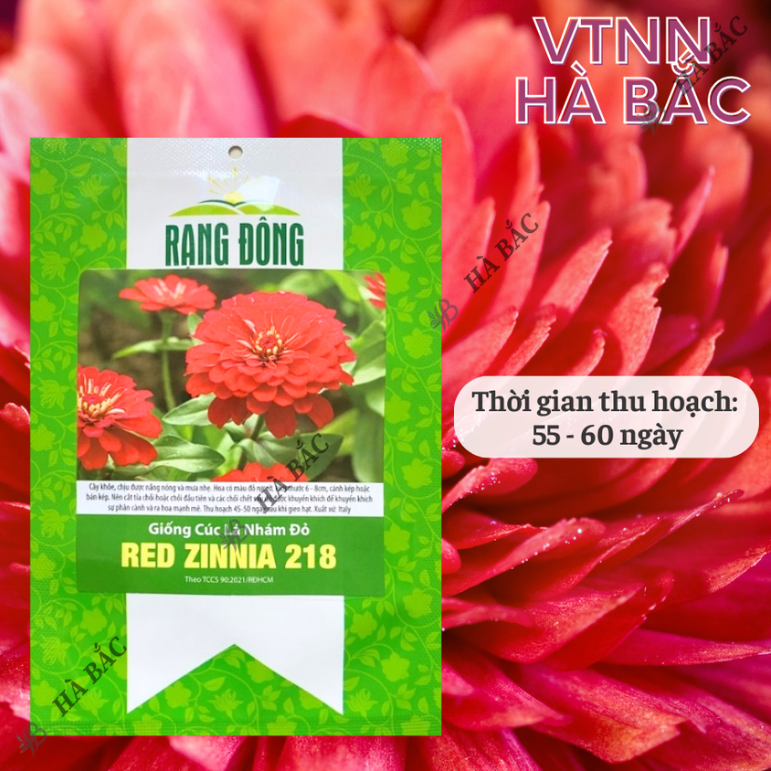 Hạt giống Hoa Cúc Lá Nhám Đỏ Red Zinnia 218 (0,1gram~20 hạt) trồng quanh năm