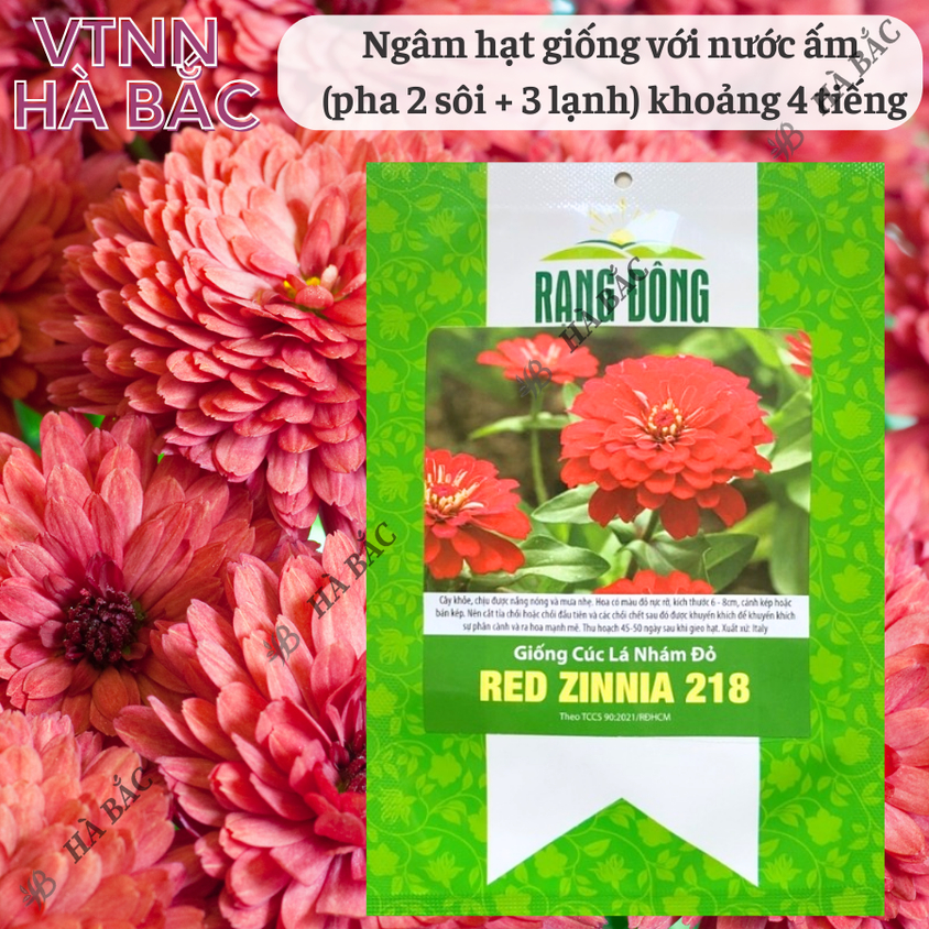 Hạt giống Hoa Cúc Lá Nhám Đỏ Red Zinnia 218 (0,1gram~20 hạt) trồng quanh năm