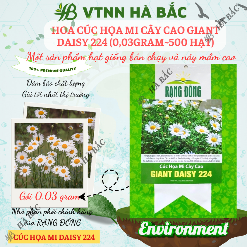 Hạt giống Hoa Cúc Họa Mi Cây Cao Giant Daisy 224 (0,03gram~500 hạt) nở lâu